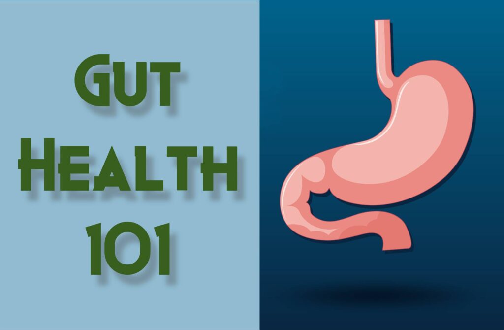 A feature image showing the illustration of stomach and the title of the blog post.