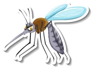 This is a picture of mosquito transfering Dengue virus.